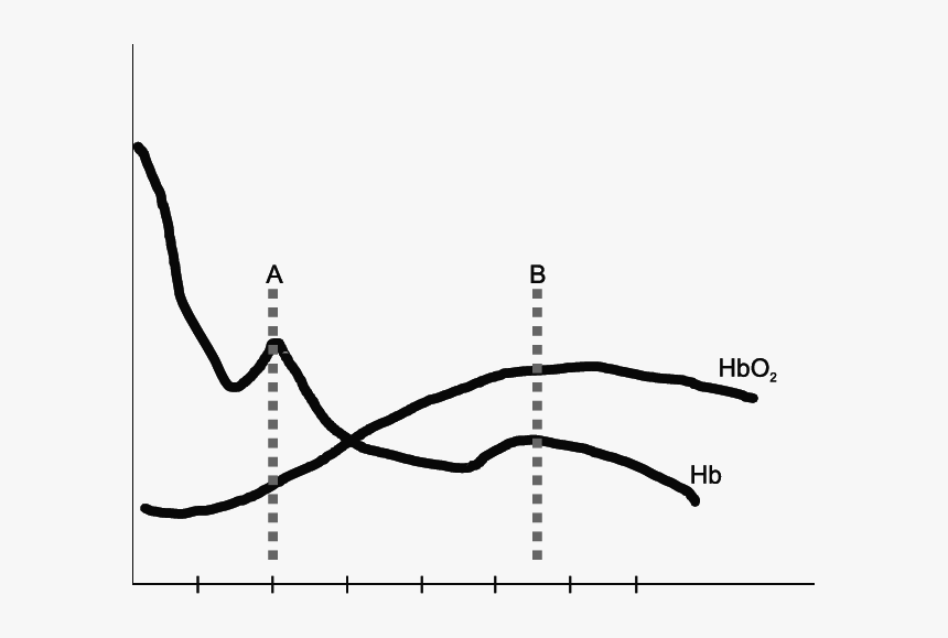 Diagram, HD Png Download