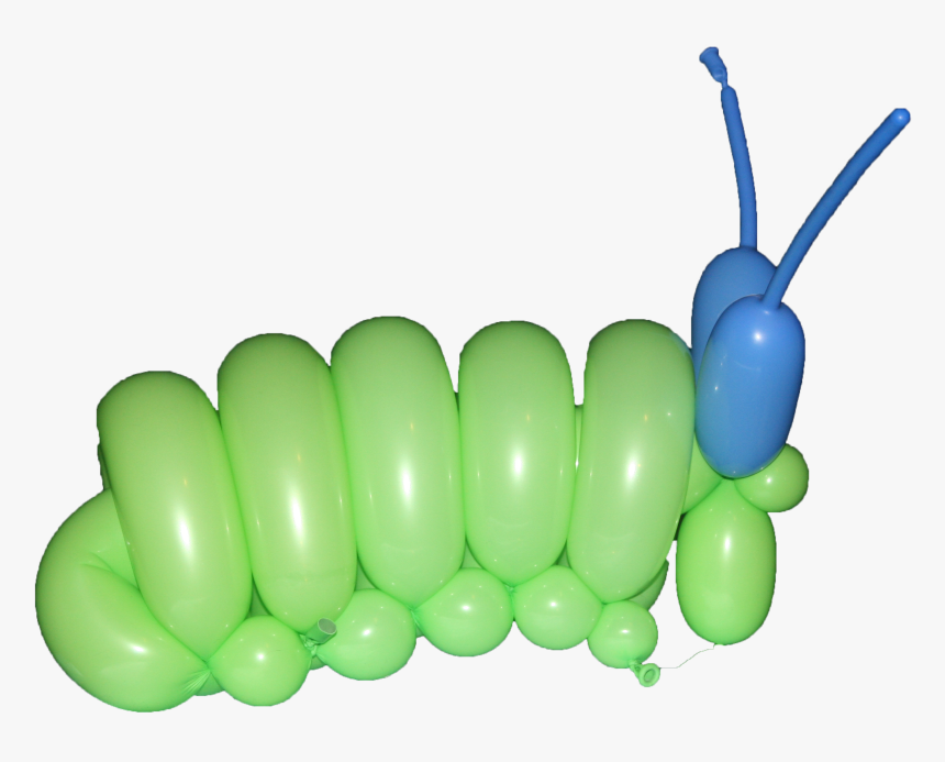 Insect, HD Png Download