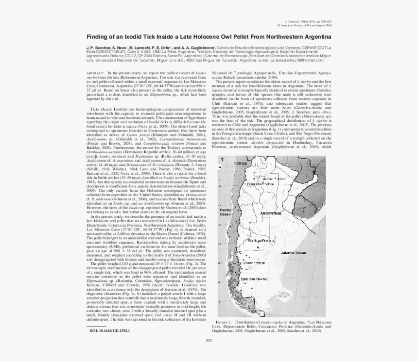 Document, HD Png Download