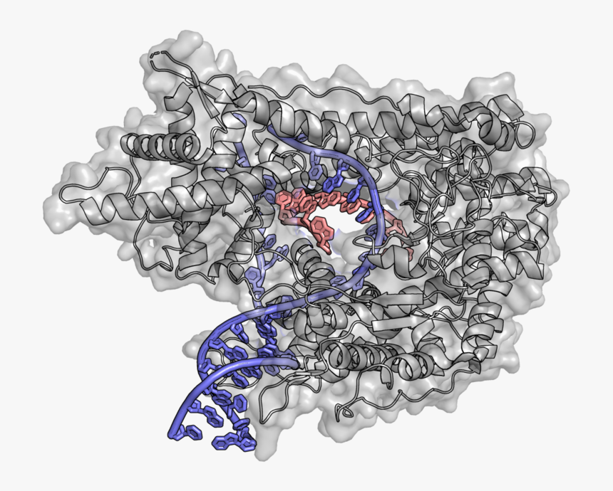 Illustration, HD Png Download