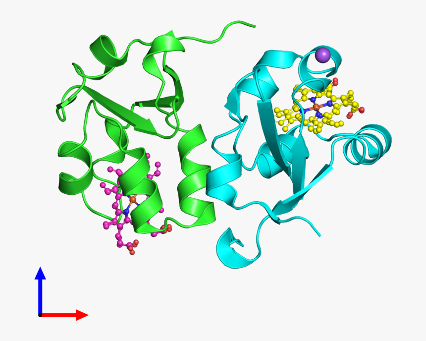 Illustration, HD Png Download