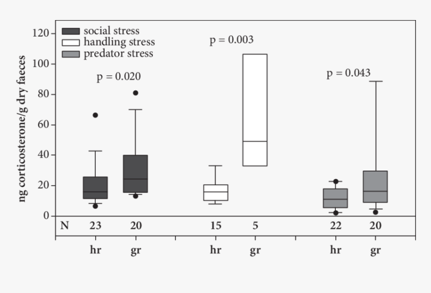 Diagram, HD Png Download