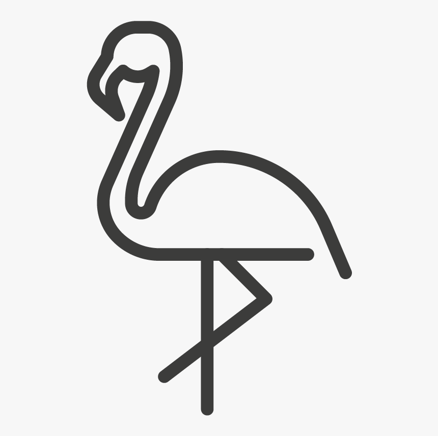 Greater Flamingo, HD Png Download