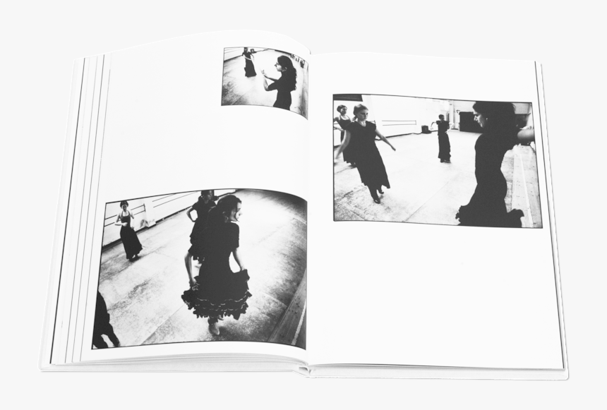 Books Flamenco 5 - Snapshot, HD Png Download