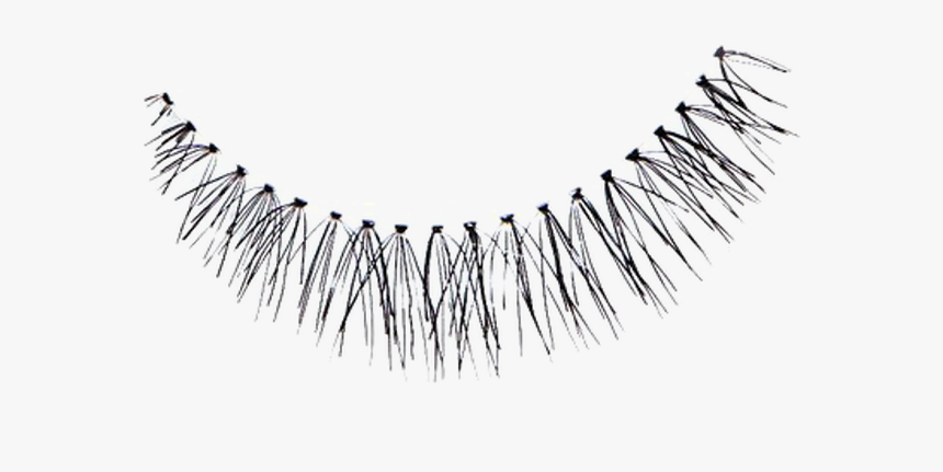 Eyelash Extensions, HD Png Download