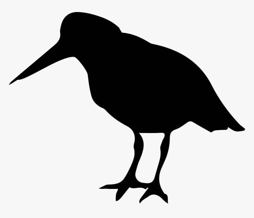 Oystercatcher Bird Of Coasts Silhouette - Oyster Catcher Png, Transparent Png