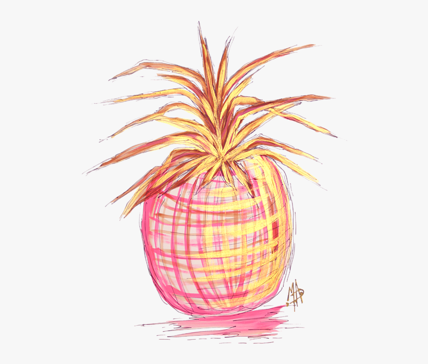 Pink Drawing Pineapple - Chic Pineapple, HD Png Download