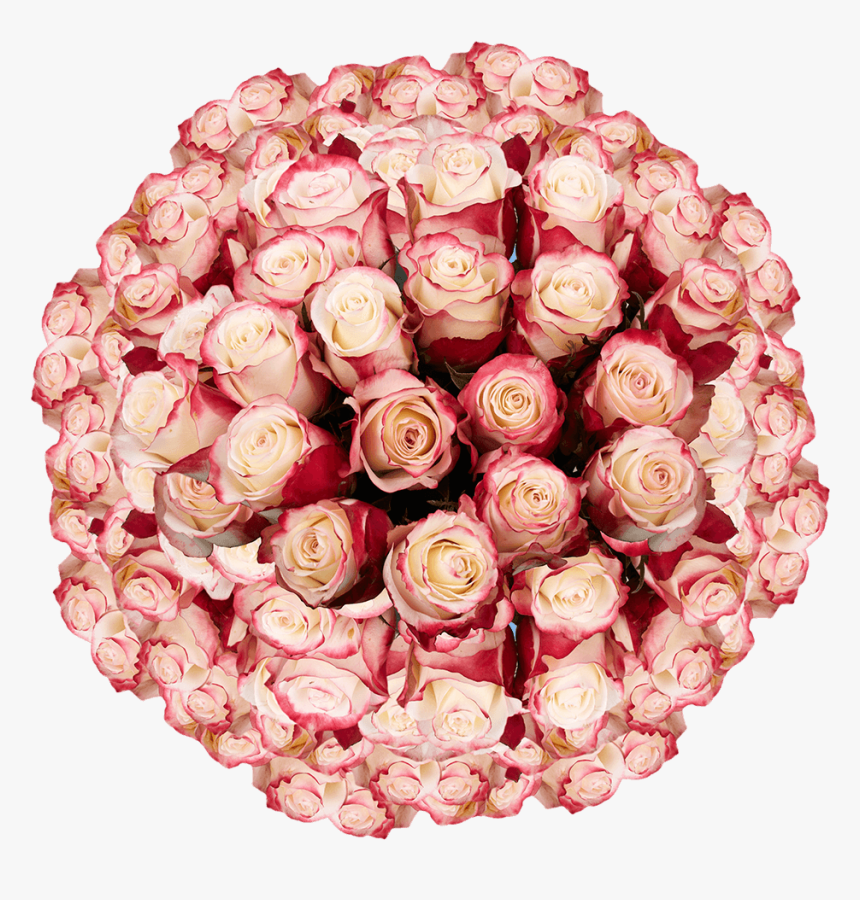 Extra Long Stem Premium White Roses With Red Tips - White Roses With Red, HD Png Download