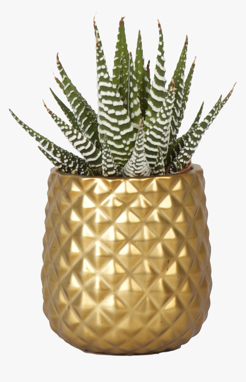 Pineapple, HD Png Download