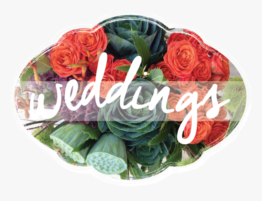 Hybrid Tea Rose, HD Png Download