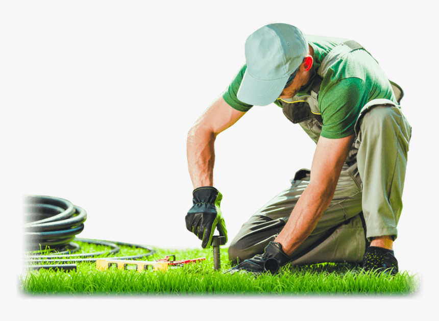 Lawn, HD Png Download