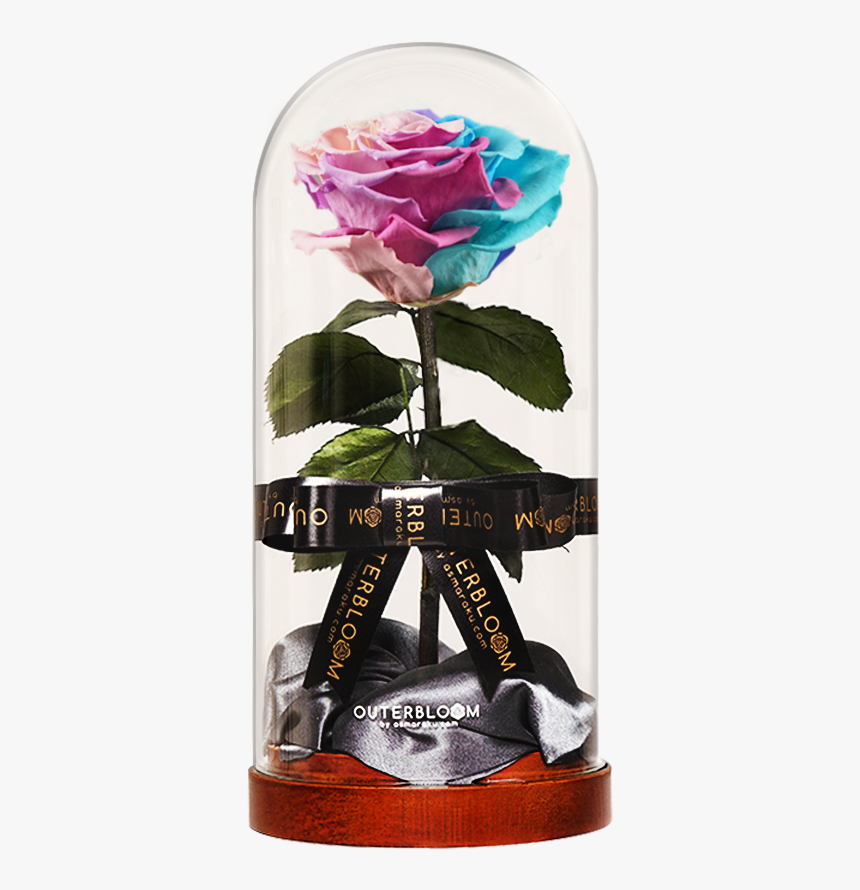 Pastel Rainbow 

 
 Data Rimg Lazy 
 Data Rimg Scale - Rainbow, HD Png Download