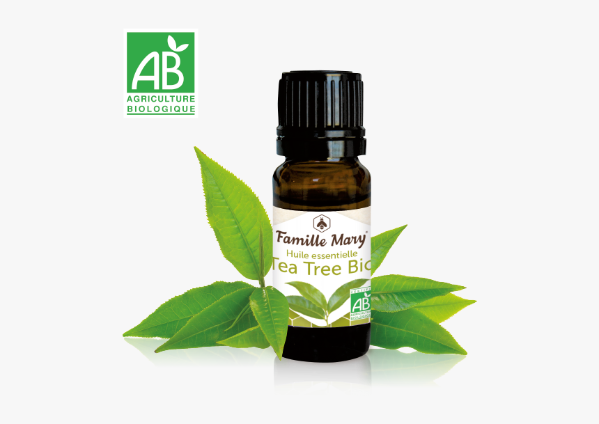 Huiles Essentielles Bio, HD Png Download