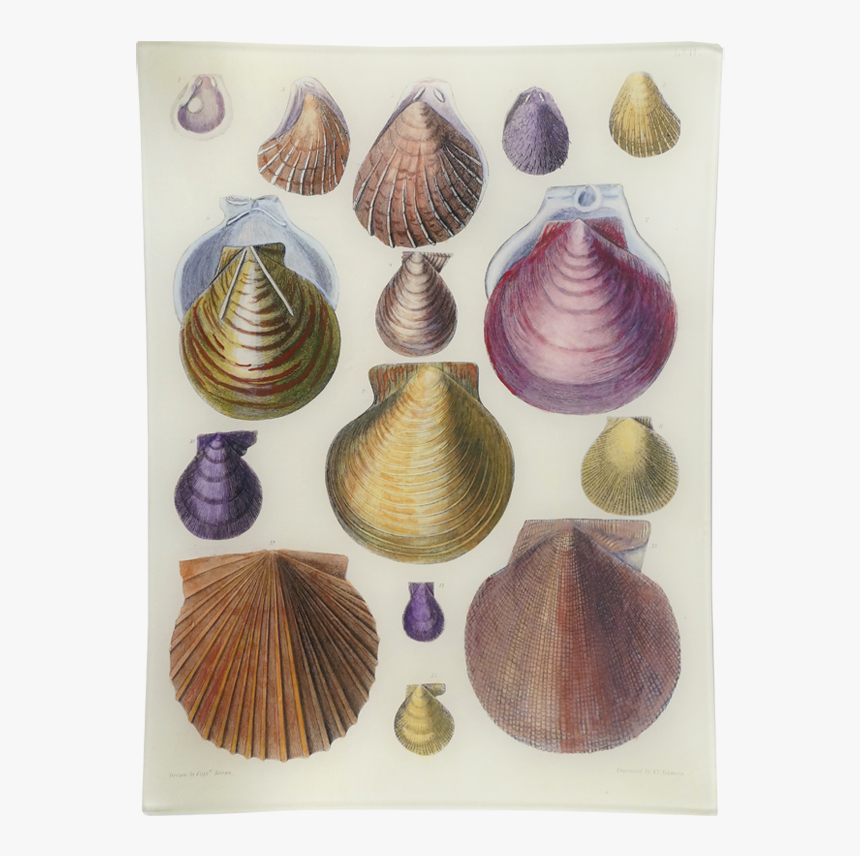 John Derian Book, HD Png Download