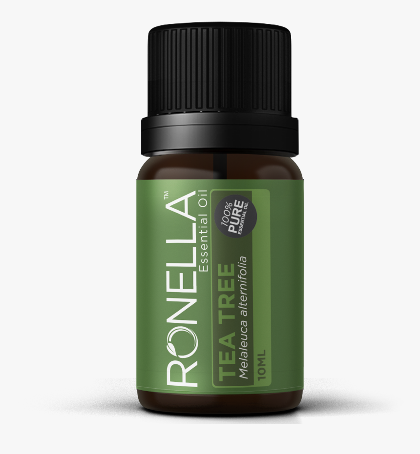 Kaffir Lime, HD Png Download