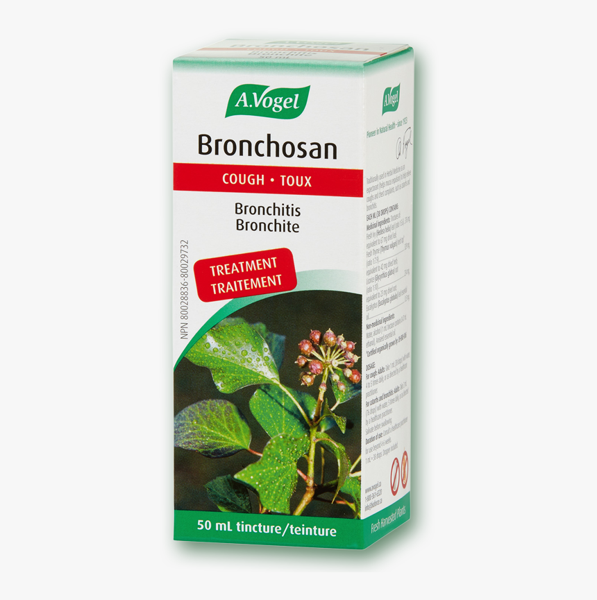Vogel Bronchosan® Herbal Cough Expectorant - Vogel Bronchitis, HD Png Download