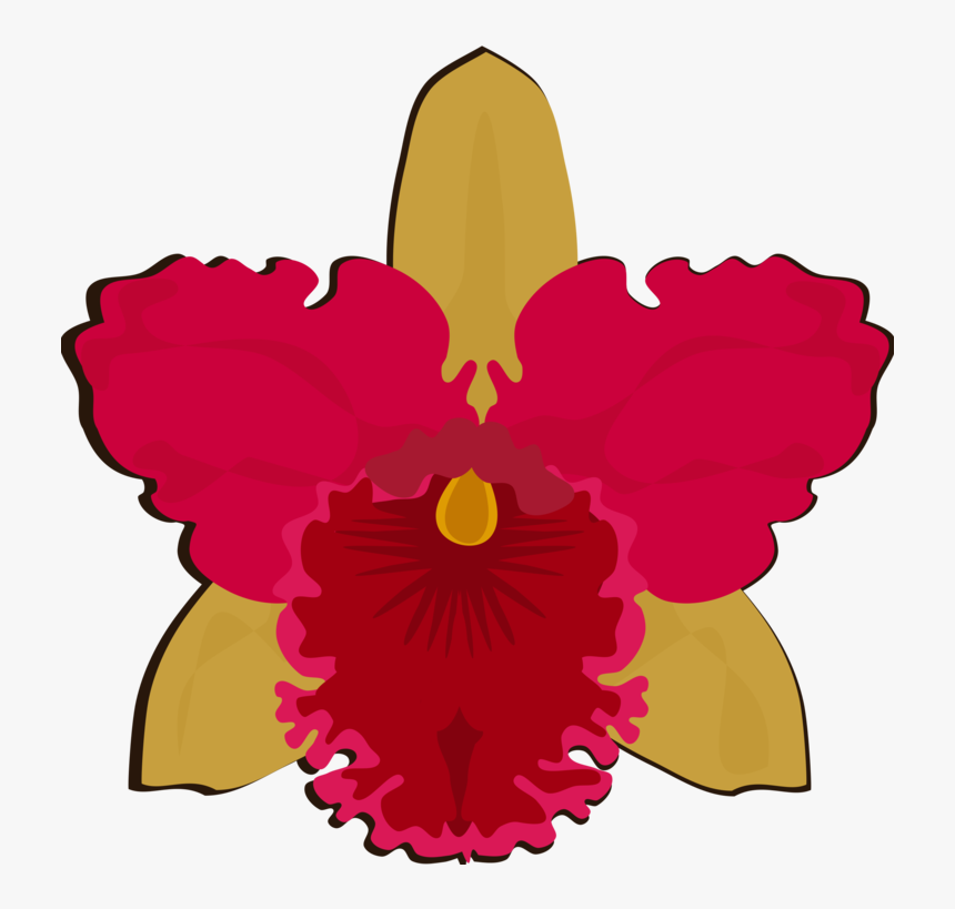 Pink,plant,flower - Orchids, HD Png Download