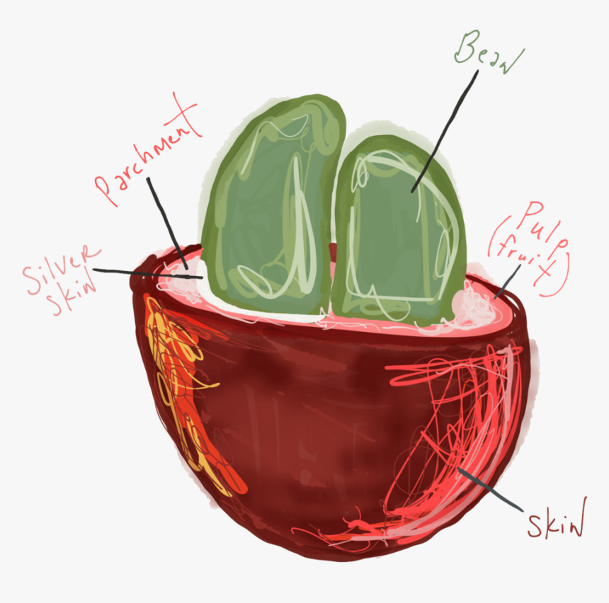 Cherry Breakdown - Illustration, HD Png Download