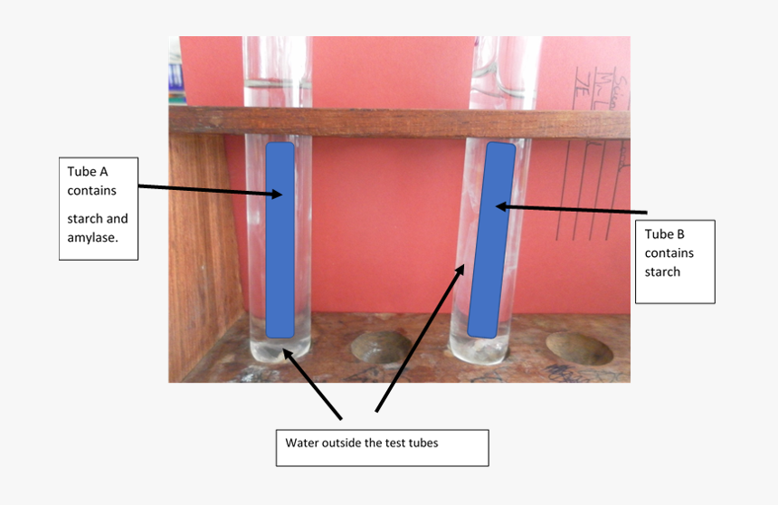 Floor, HD Png Download