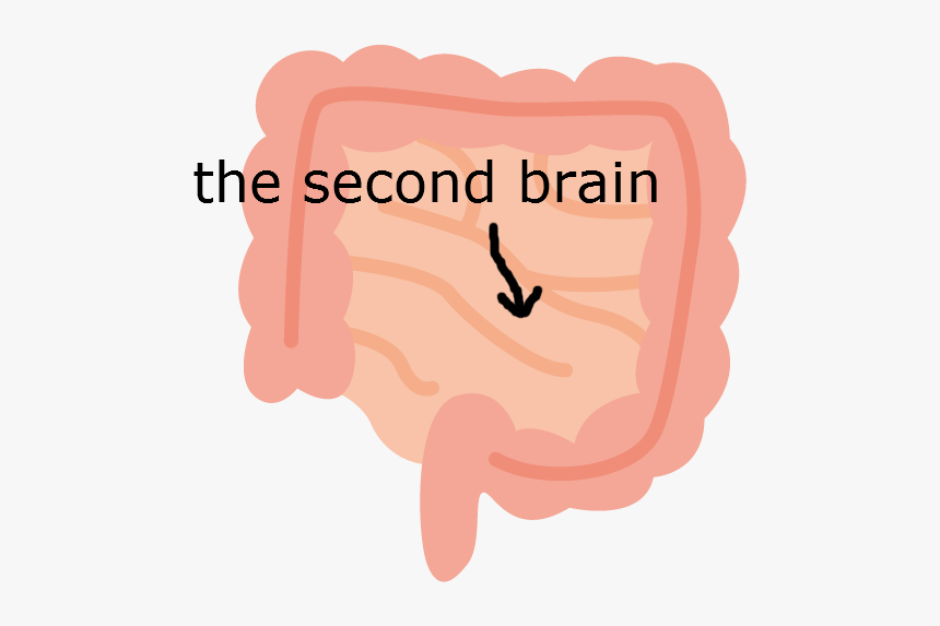 20180706193405 2 - Illustration, HD Png Download