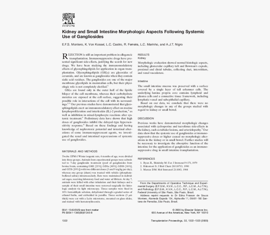 Document, HD Png Download