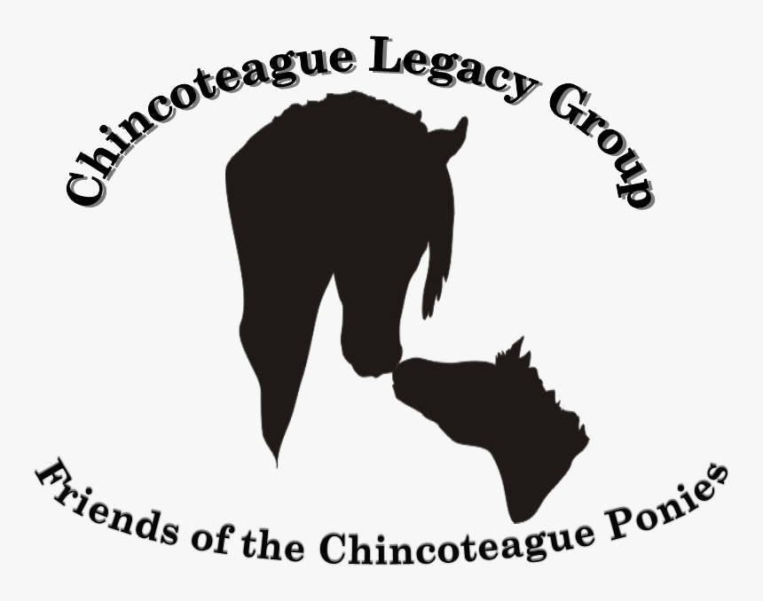 Logo - Illustration, HD Png Download