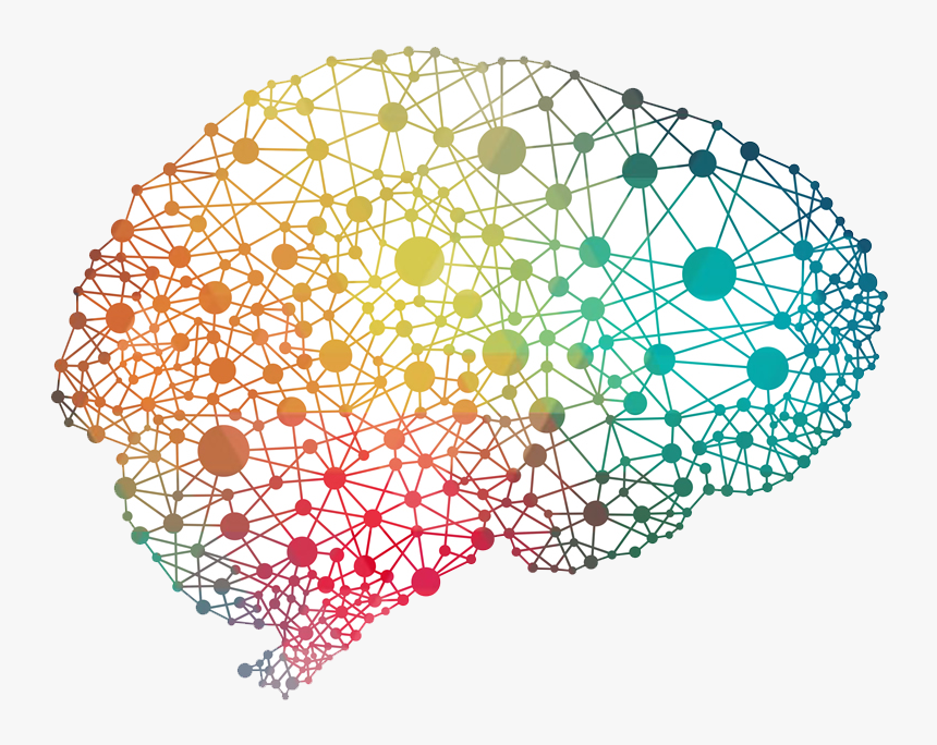 Neuroscience Brain, HD Png Download
