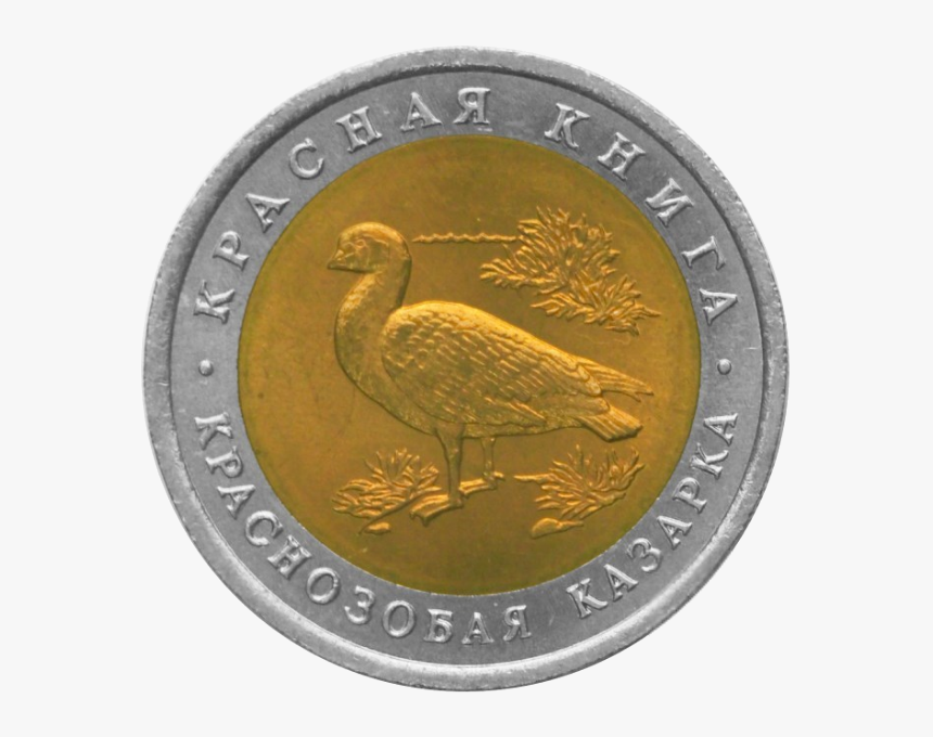 Rr5514-0002r Краснозобая Казарка - Coin, HD Png Download