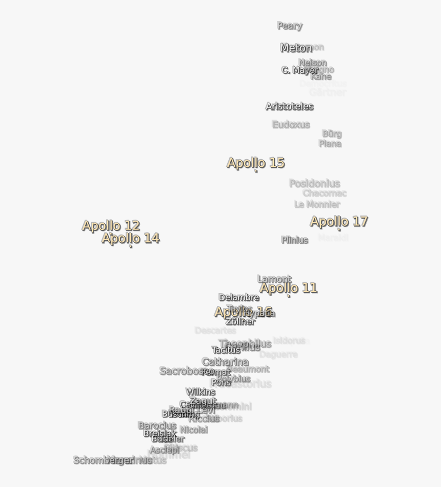 Christmas Tree, HD Png Download