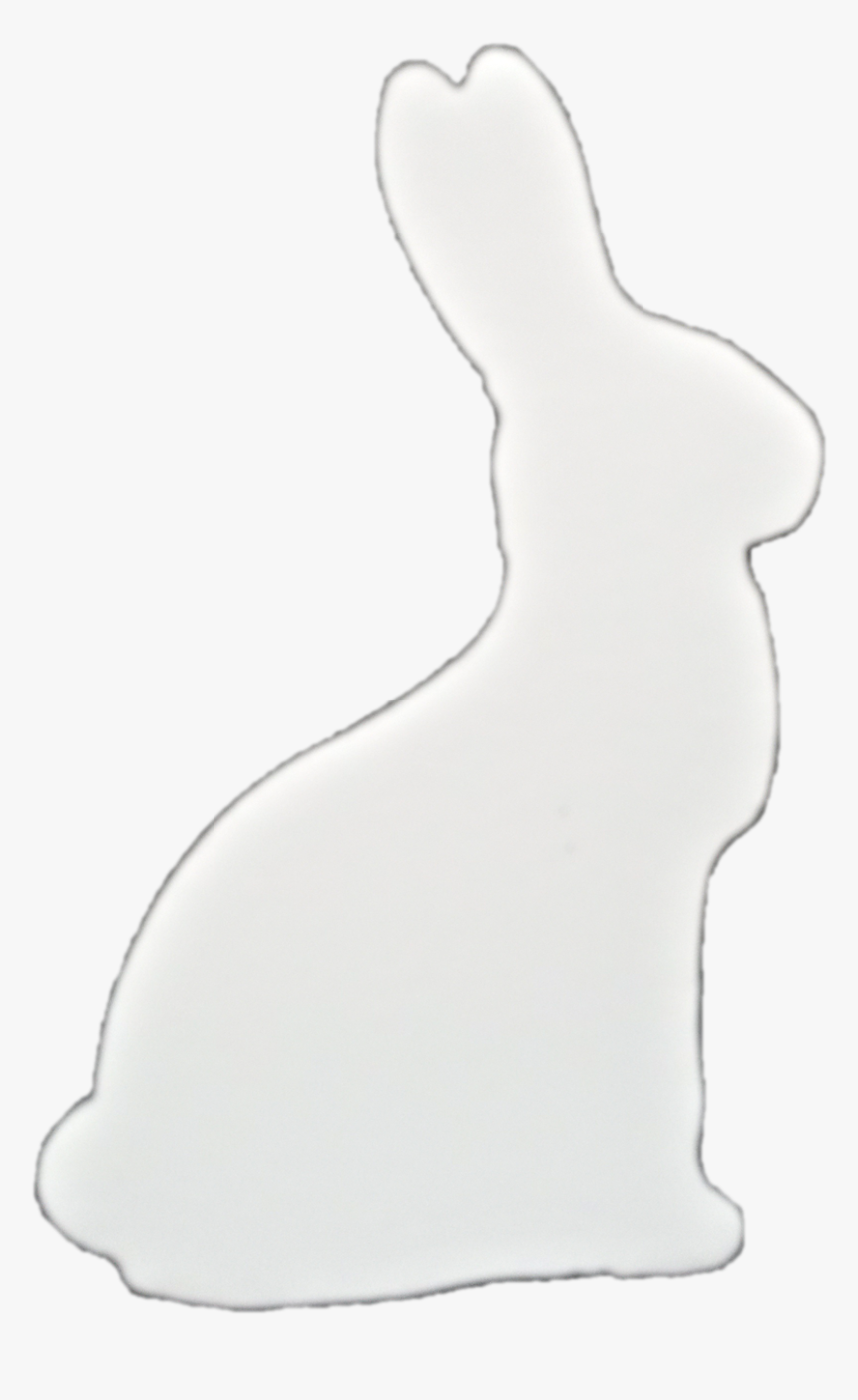 Domestic Rabbit, HD Png Download