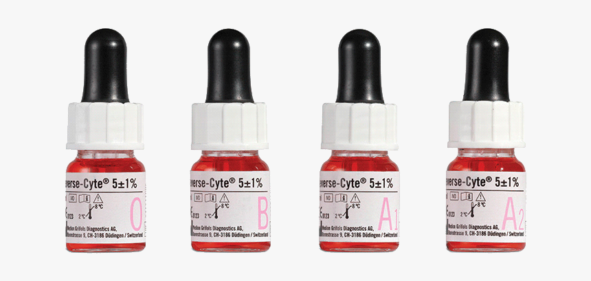 New Services, HD Png Download