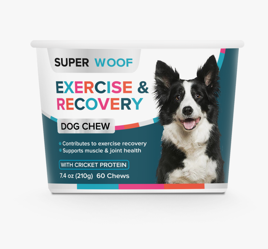 Rough Collie Border Collie, HD Png Download