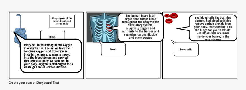Body Cell That Needs Oxygen, HD Png Download