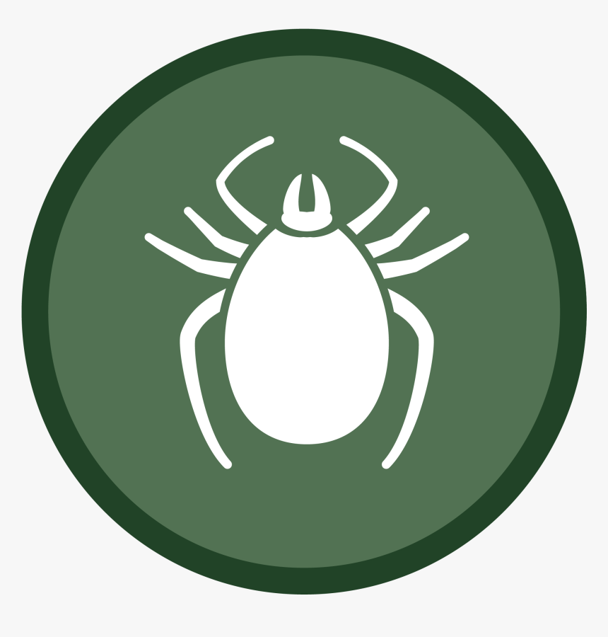 Tick Icon-02 - Vacuum Ticks Icon Png, Transparent Png