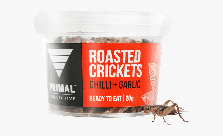 Drawing Insect Field Cricket - Cricket, HD Png Download