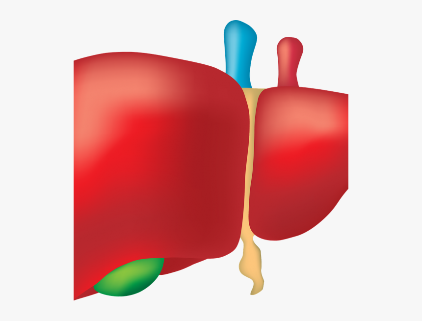 World Hepatitis Day 2018 Theme Clipart , Png Download - World Hepatitis Day Theme 2018, Transparent Png