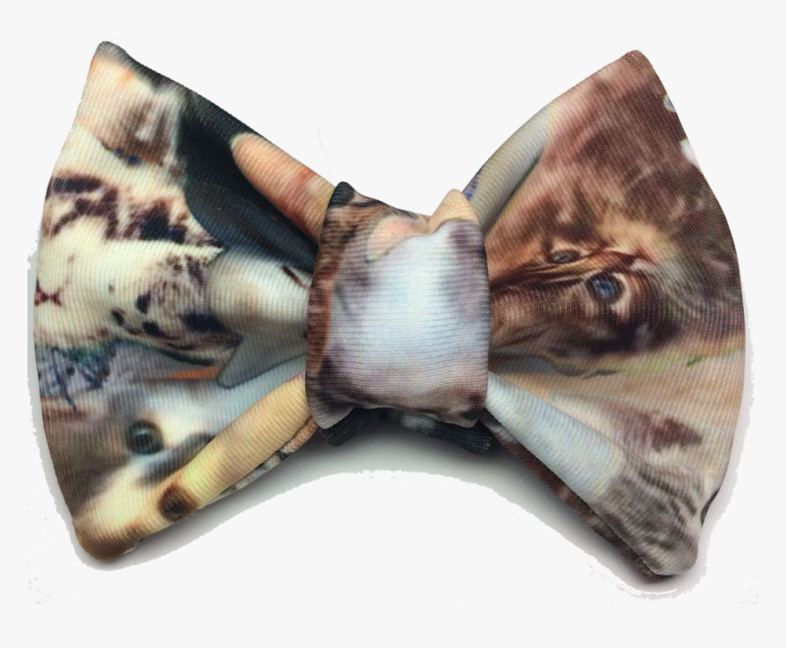 Meta Cat - Butterfly, HD Png Download