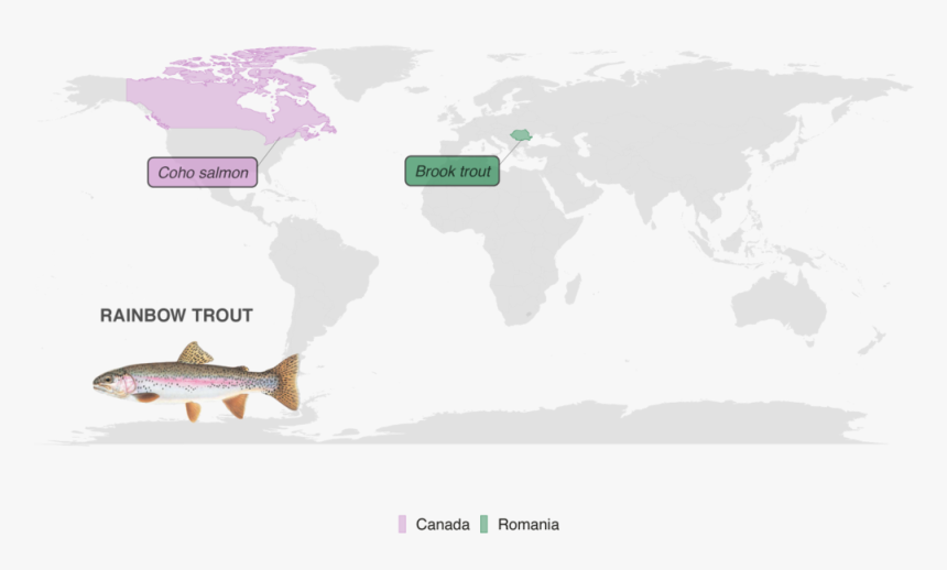 Map Showing Substitutes Color-coded By Country - Atlas, HD Png Download
