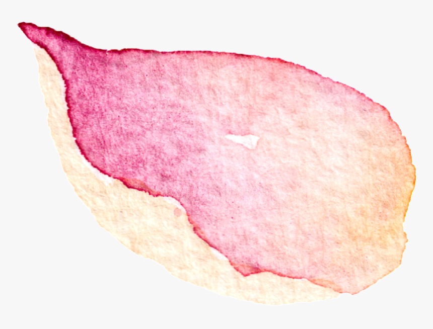 This Graphics Is Falling Petals Transparent Decorative - Carmine, HD Png Download