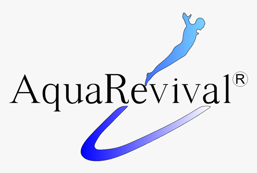 Calligraphy, HD Png Download