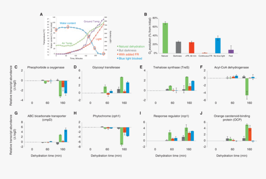 Diagram, HD Png Download