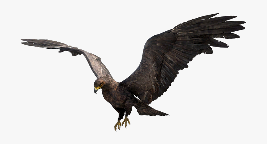 Far Cry Wiki - Golden Eagle, HD Png Download