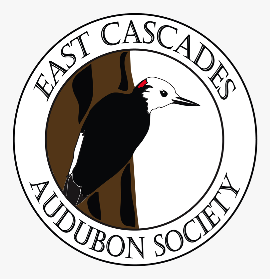 East Cascades Audubon - East Cascades Audubon Society Logo, HD Png Download