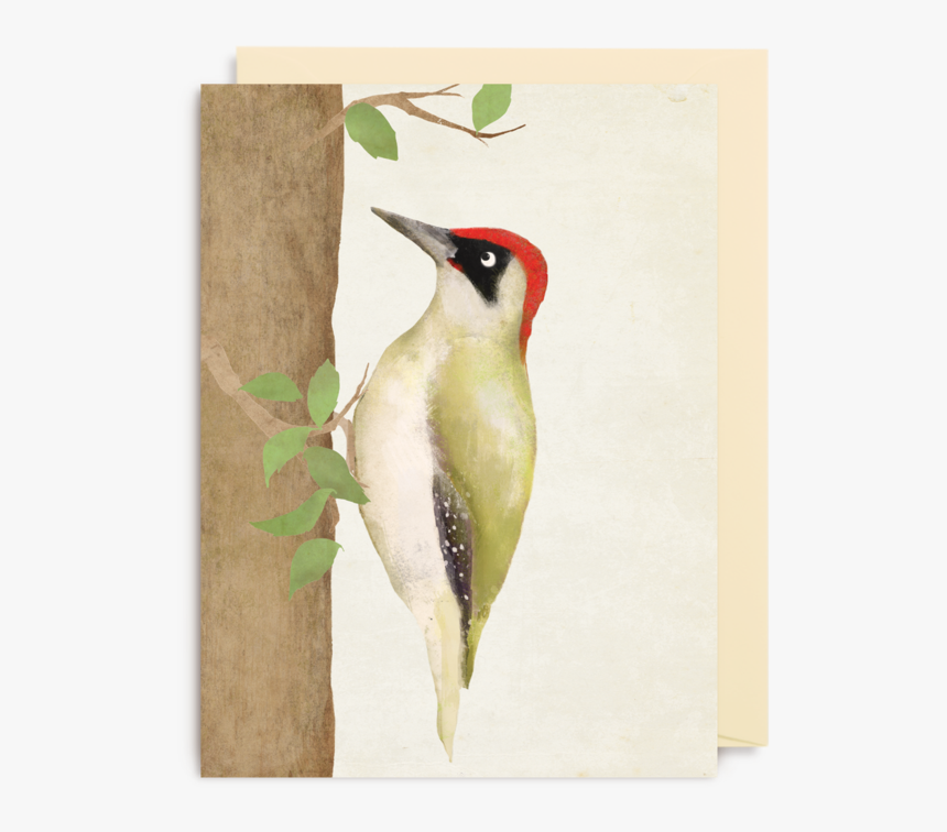 Downy Woodpecker, HD Png Download