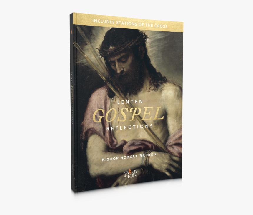 Lenten Gospel Reflections Bishop Barron, HD Png Download
