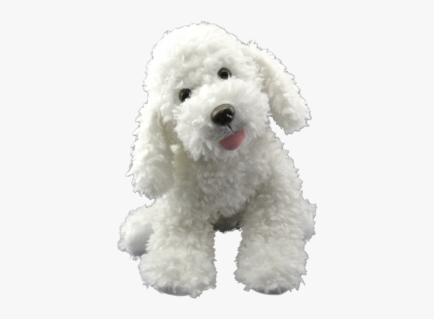Toy Poodle, HD Png Download