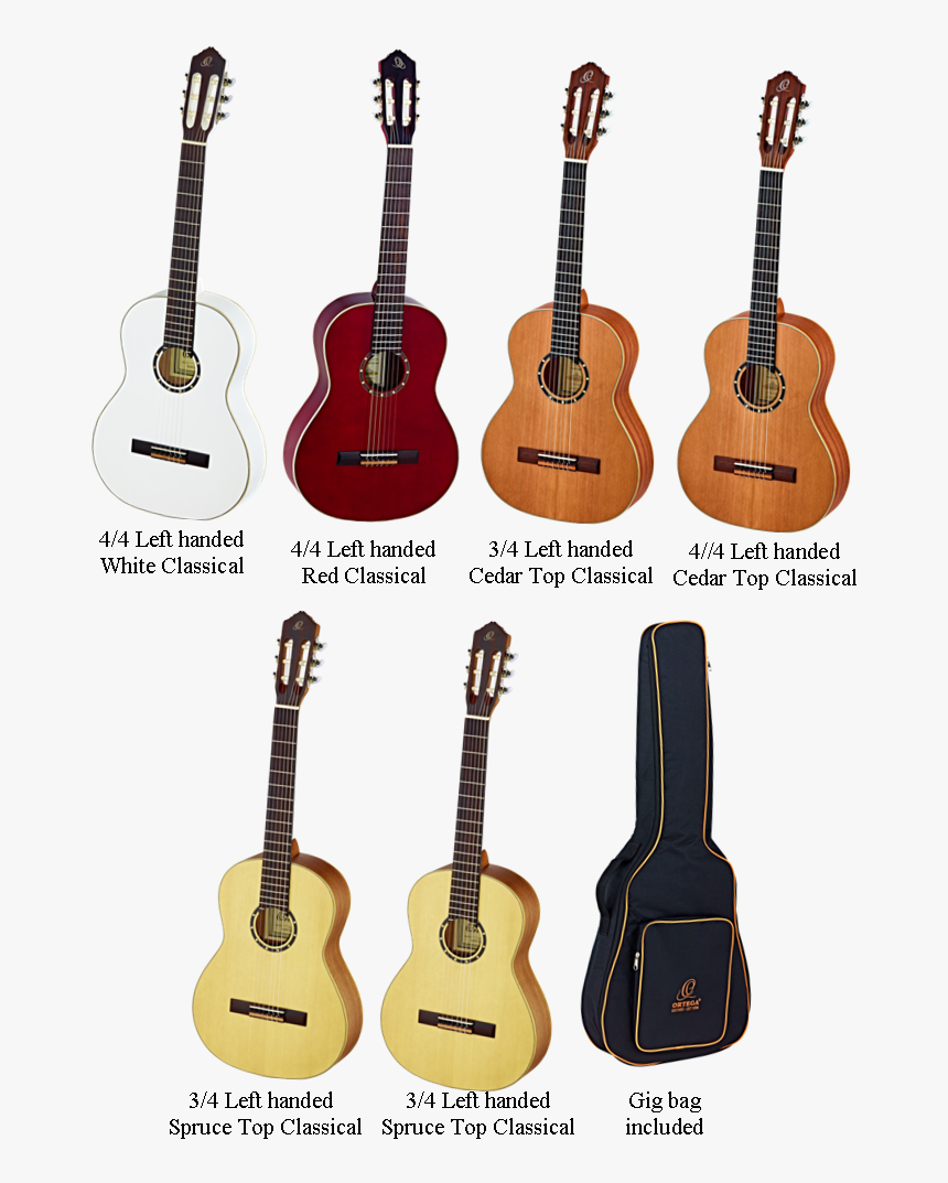 Bass Guitar, HD Png Download