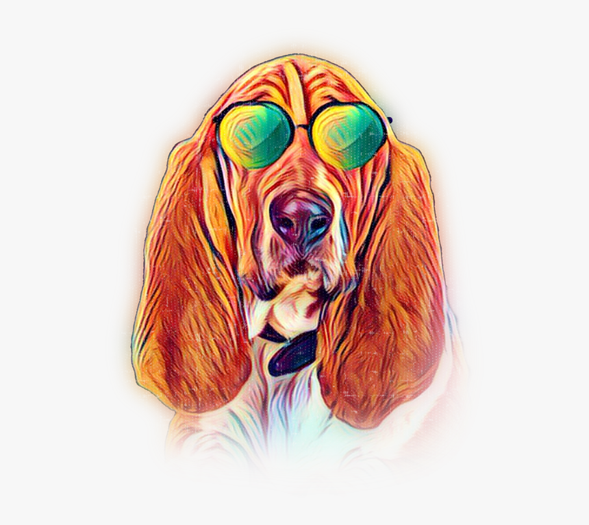 Basset Hound, HD Png Download