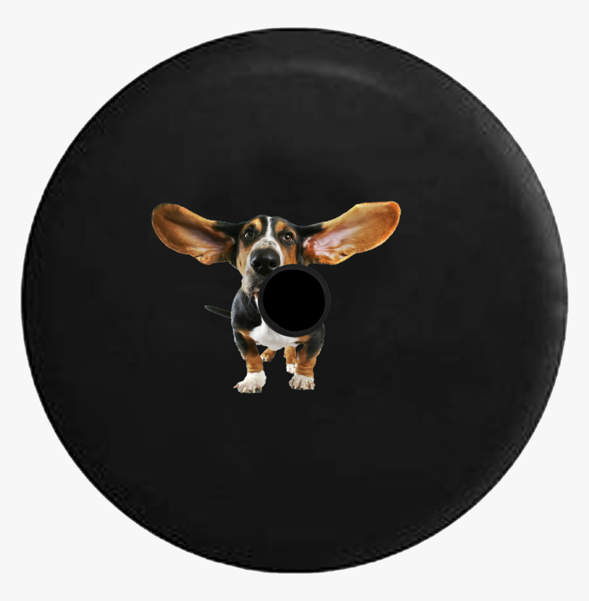 Dog Catches Something, HD Png Download