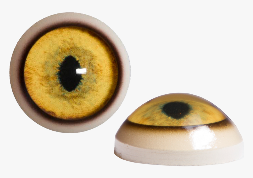 Circle, HD Png Download